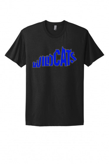 Blue State (Wildcats)